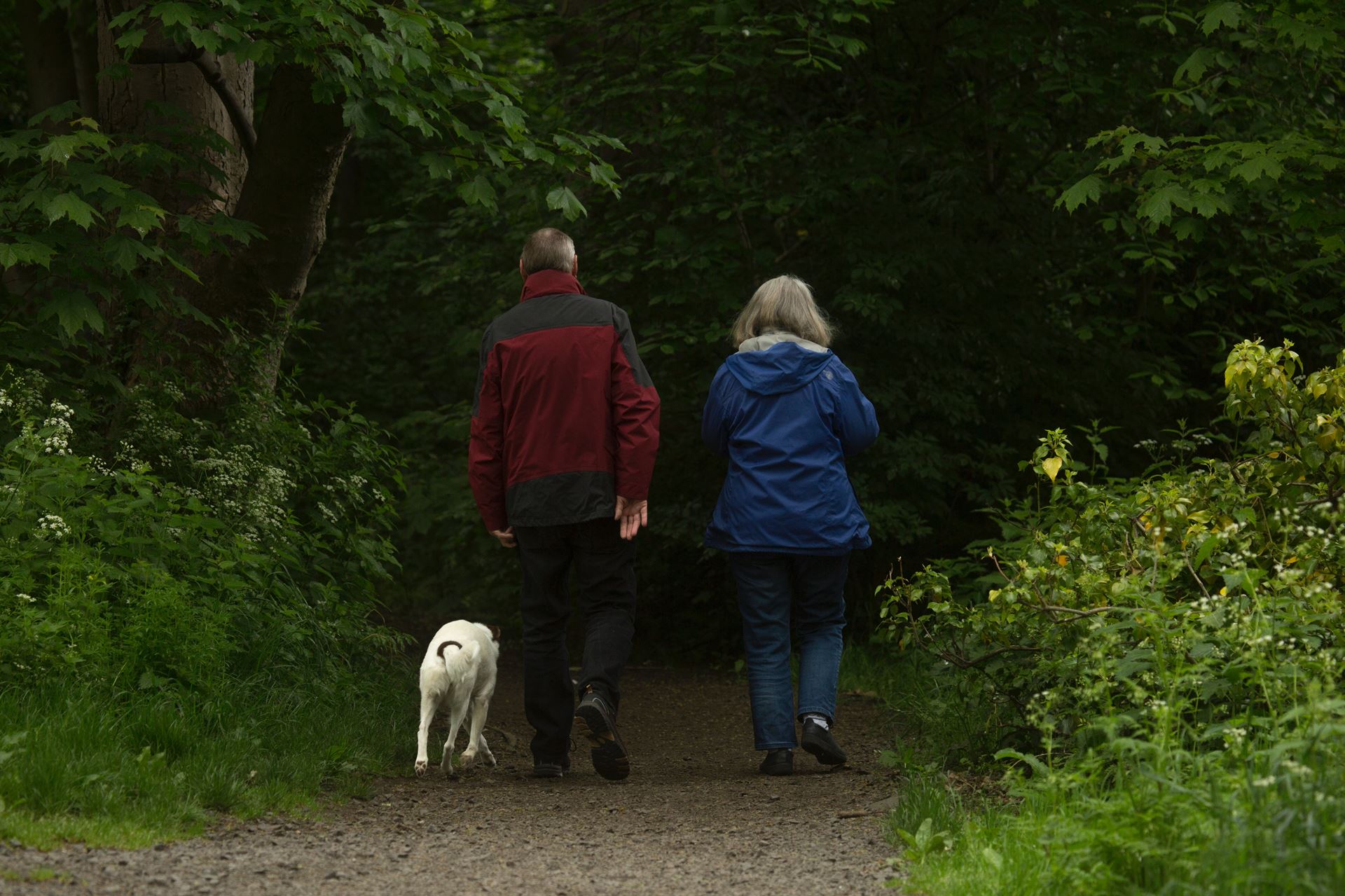 Going for a walk